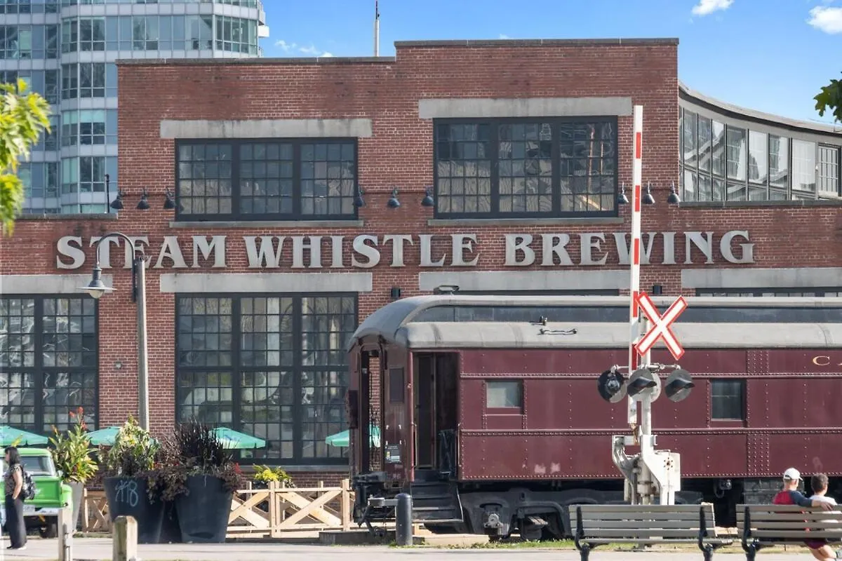 شقة Rustic Dt Condo 1 Bed & Sofabed تورونتو