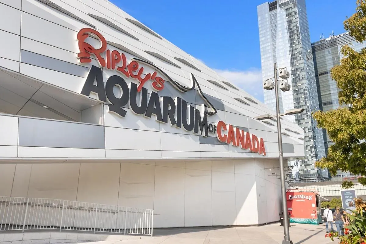 شقة Rustic Dt Condo 1 Bed & Sofabed تورونتو كندا