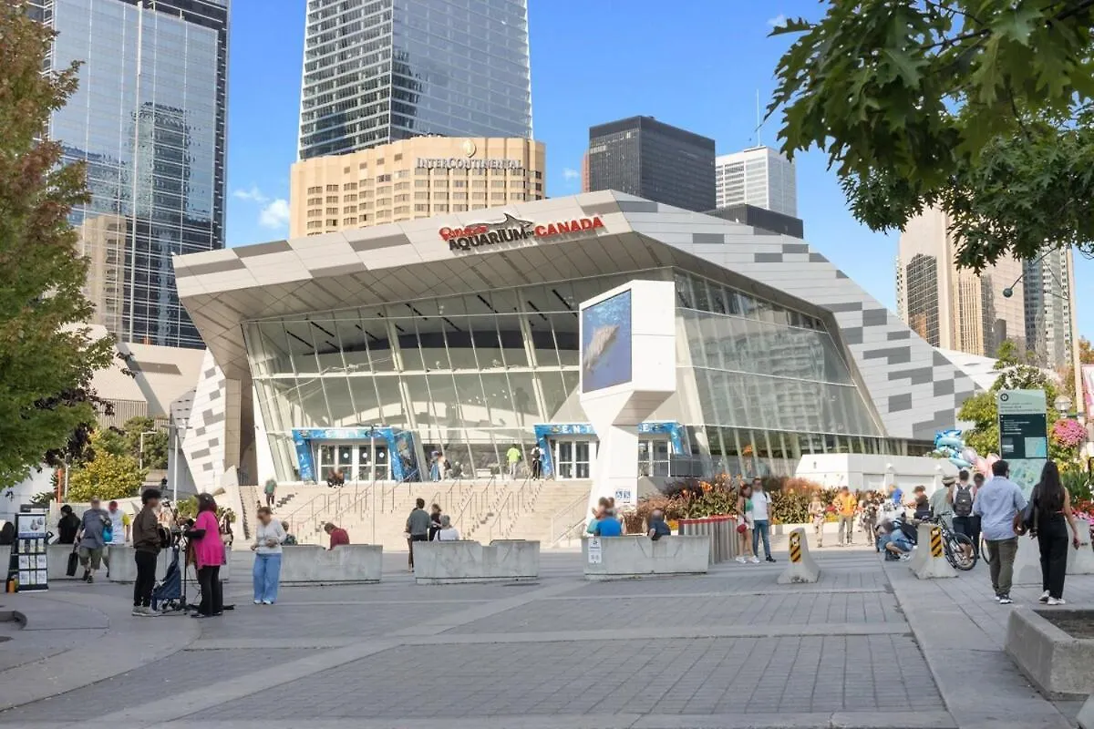 Rustic Dt Condo 1 Bed & Sofabed تورونتو